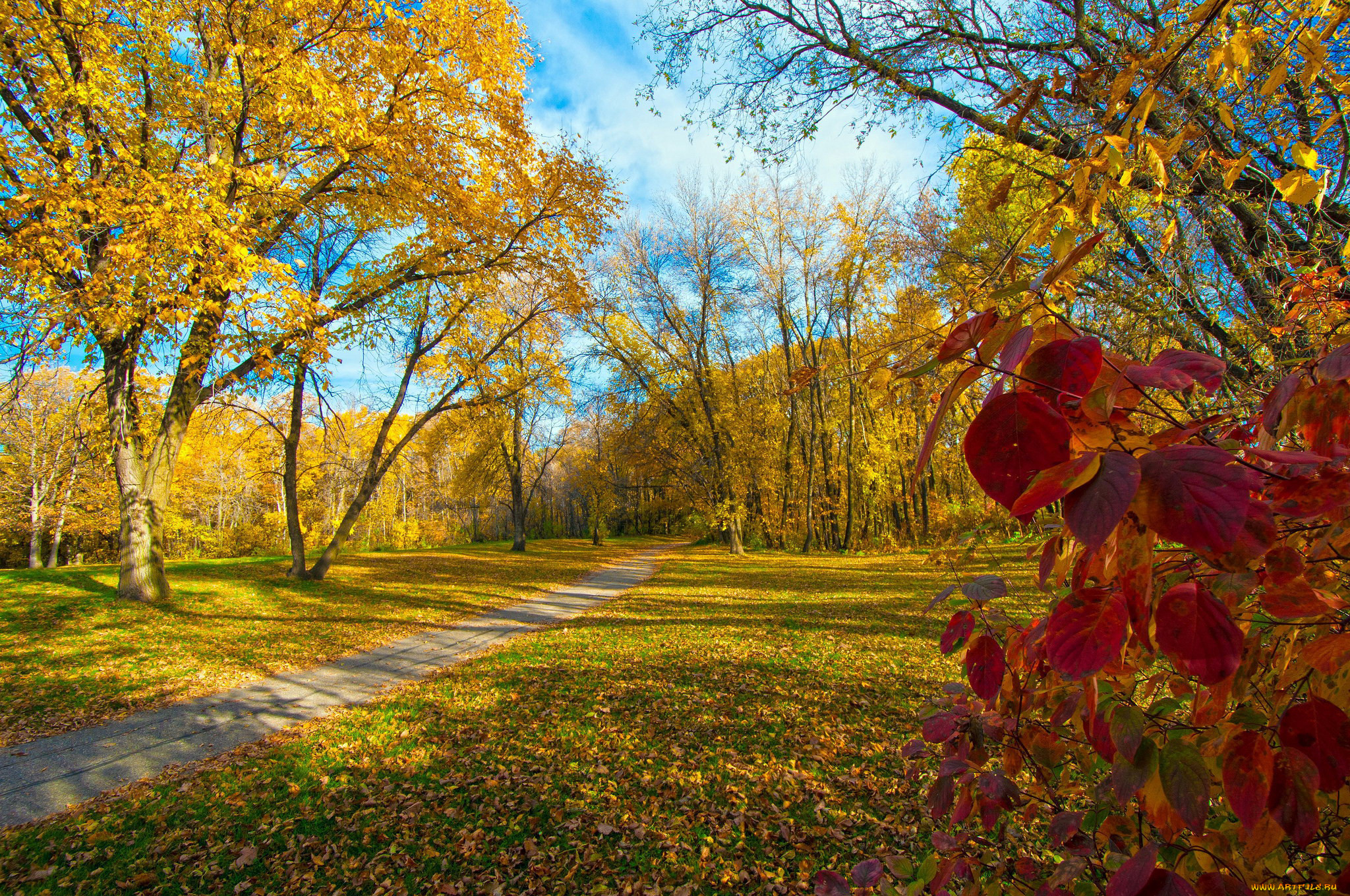 Осенний день картинки. Парк осень аллея листопад. Осенний листопад. Осенняя природа листопад. Природа осень парк.